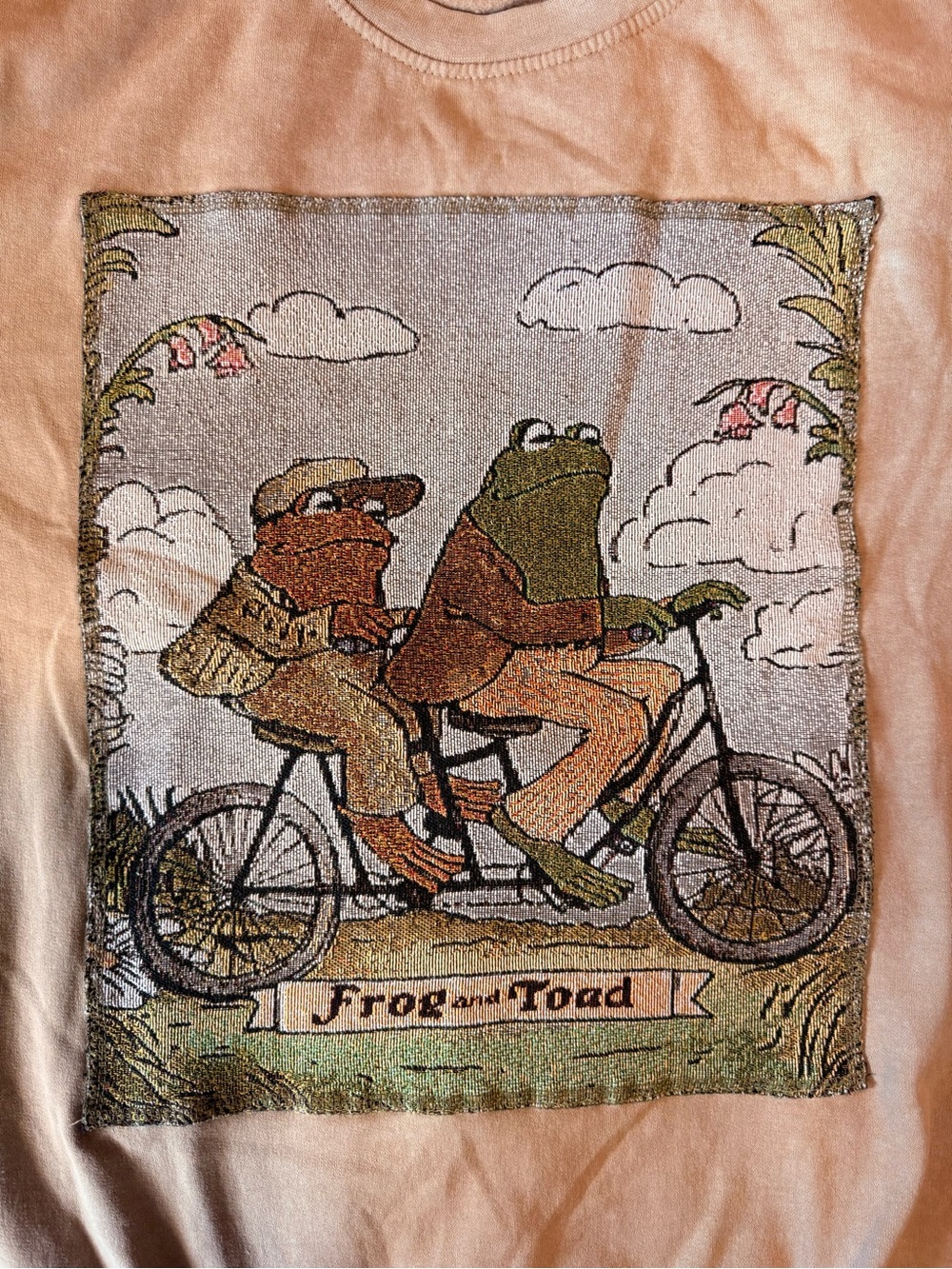 Frog and Toad Tandem Pullover Sweatshirt in Peach and Green